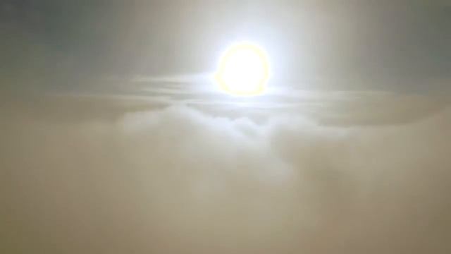 Человек - как это работает. Видео №1