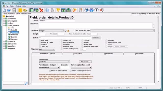 Filtering a lookup menu by customizing the SQL query смотреть онлайн