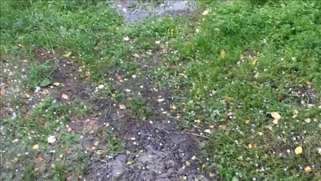 Град 10 - 15 мм | Сибирь, лето смотреть онлайн