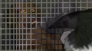 Топ 10 жестоких smертей Хроники Стаи Survivors Dogs