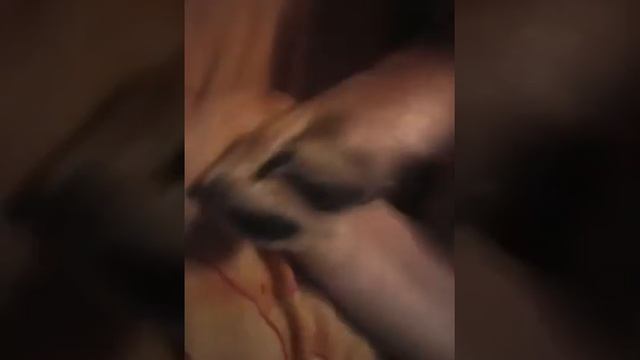 Мини овчарка балдеет на кровати смотреть онлайн