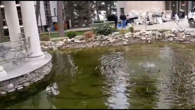 Отель Приморье Grand Resort. Геленджик. Территория, корпуса. смотреть онлайн