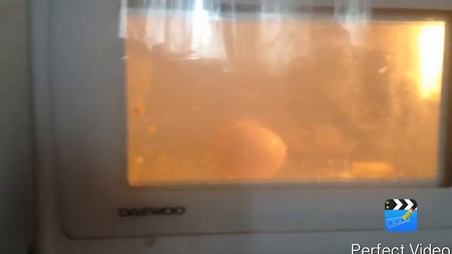 Что будет если засунуть яйцо в микроволновку смотреть онлайн