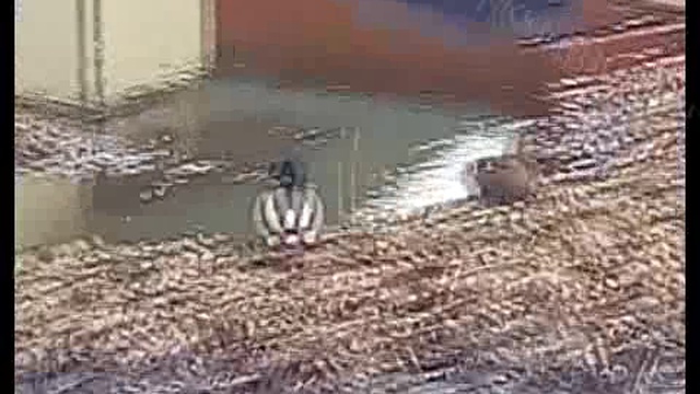Город Новостей 19 04 2017 смотреть онлайн