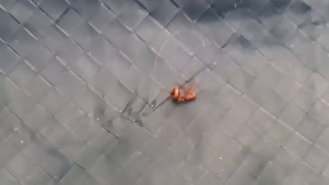 Муравей брейк дансер смотреть онлайн