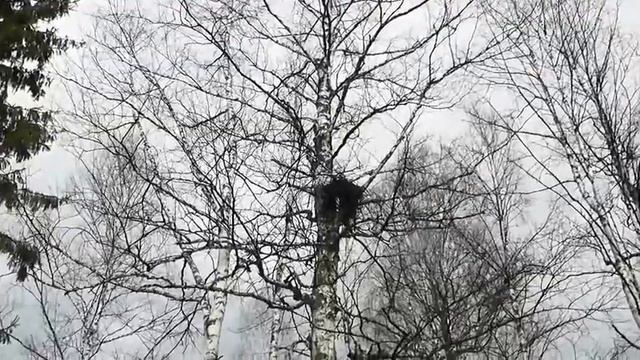 Охота и рыбалка на Урале. смотреть онлайн