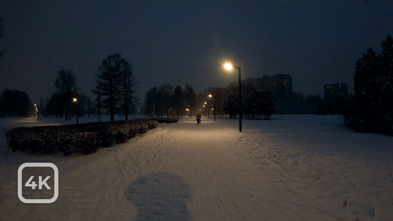 Зимняя прогулка ❄️ Парк Академика Сахарова. [4K] / Winter walk. Academician Sakharov Park.