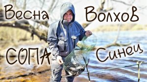 весенняя рыбалка на Волхове