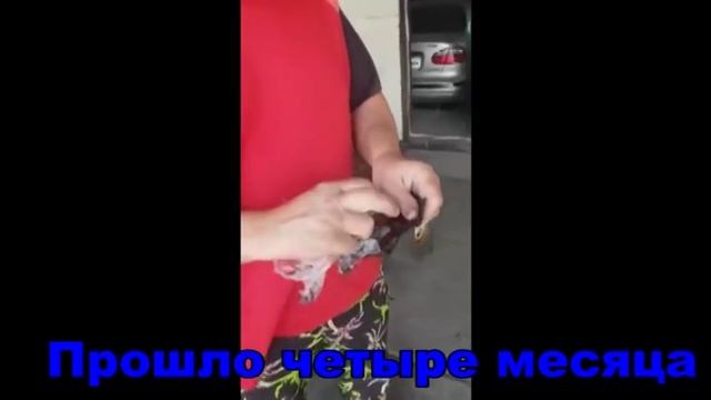 Дом и Развлечения