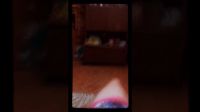 вот как выглядит моя комната смотреть онлайн