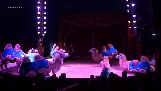 Circus Full Show 2015 смотреть онлайн