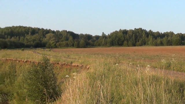 рыбалка на микроджиг по небольшой речке. Рыба есть, но как её поймать? смотреть онлайн