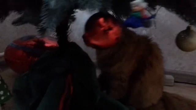 Тоcик тоже любит Новый год! Особенно ёлку! смотреть онлайн