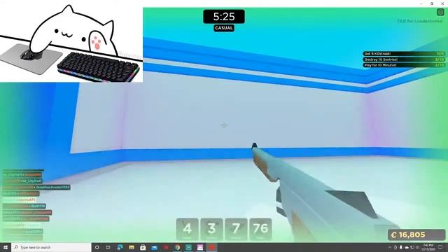 Playing Roblox (with a bongo cat face cam) смотреть онлайн