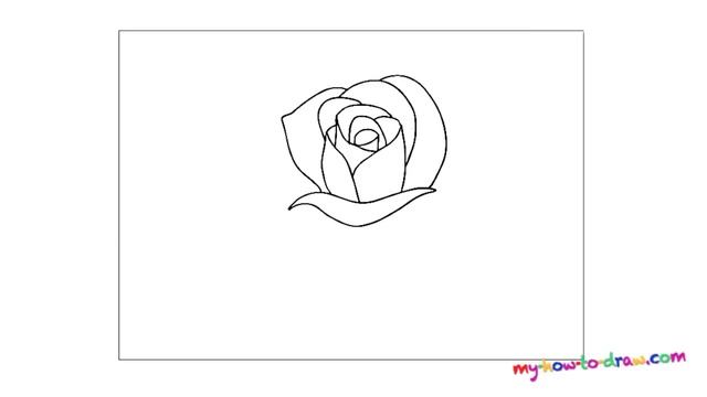 Как нарисовать розу. Рисуем розу, пошаговая инструкция.