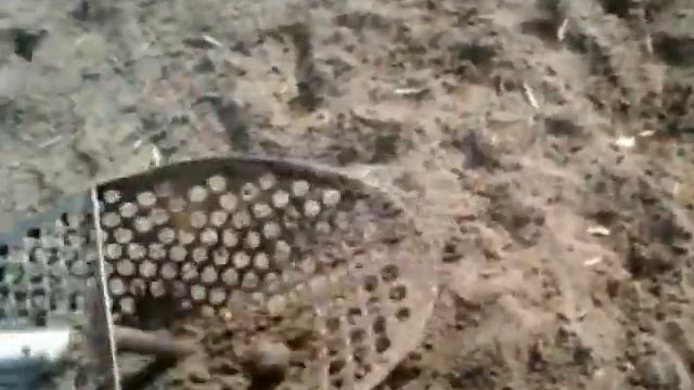 Пляжный коп на стихийном городском пляже смотреть онлайн