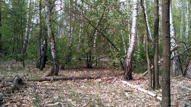 Господи! Прости меня, прости Душевная песня смотреть онлайн