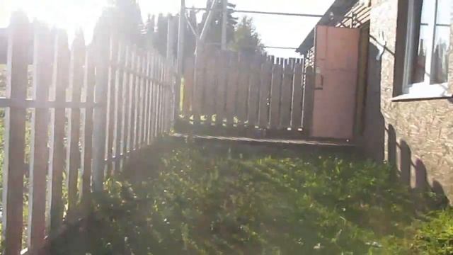 НУ И СВИНЬИ!!!//СВИНЬИ СЛОМАЛИ КАЛИТКУ//КОМУ НУЖНА БЕСПЛАТНАЯ СВИНИНА??? смотреть онлайн