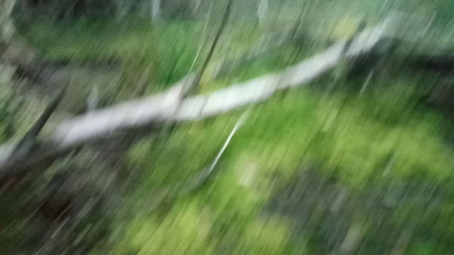 Так ревет лось смотреть онлайн