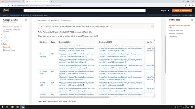 How to Install Java JDK 11 (Amazon Corretto) on Windows смотреть онлайн