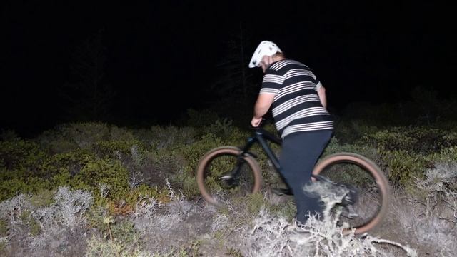 I Got Stranded Alone Deep In The Woods смотреть онлайн