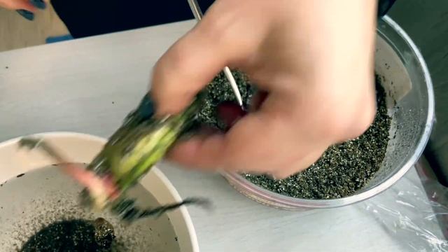 Манго из косточки смотреть онлайн