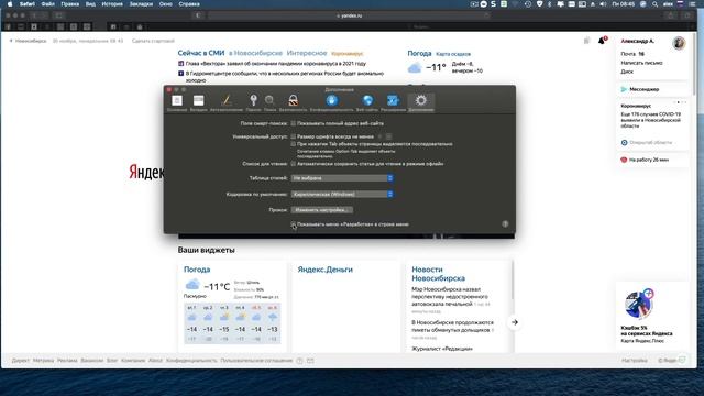 Как активировать в Safari пункт "разработка" и получить доступ до консоли JavaScript смотреть онлайн