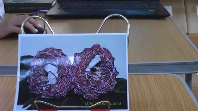 ДФ.Елена Николаева.Презентация сортов глоксиний (ЕН-) смотреть онлайн