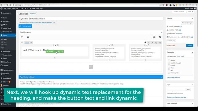 How to build a Dynamic Landing Page in WordPress смотреть онлайн