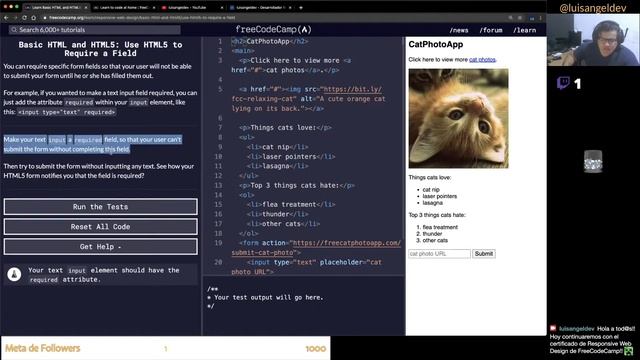 Como indicar si un campo es obligatorio en HTML - freeCodeCamp en Español смотреть онлайн
