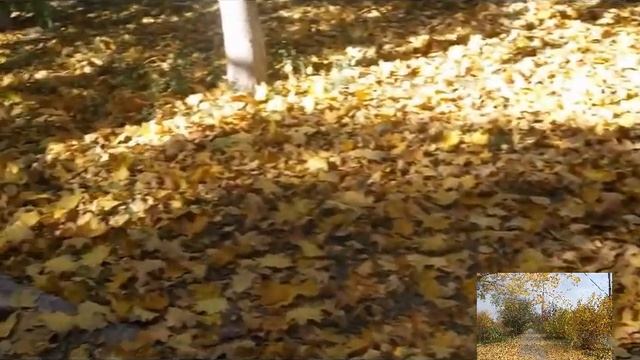 Осень -Осенние пейзажи и краски и музыка природы. смотреть онлайн