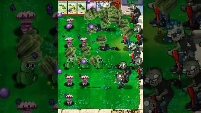 ❤❤Plant And Zombie -Roblox Rainbow Friends Team vs Doors Roblox Tea ( PVZ Pro 2023) #shorts 134 смотреть онлайн