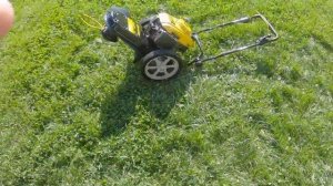 Купил колесный триммер CHAMPION LMH5640