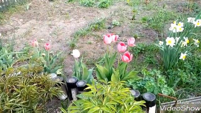 ВЕСНА ВЕСНА НА УЛИЦЕ ВЕСЕННИЕ ЦВЕТЫ смотреть онлайн
