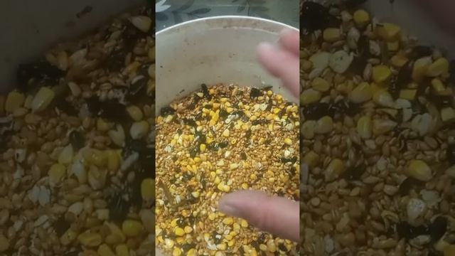 ?полезная ферментация зерна для кур ?? смотреть онлайн