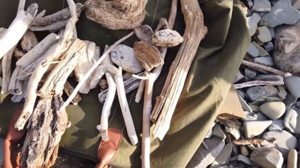 Сбор дрифтвуда в районе Сукко - Driftwood Hunters