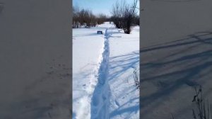 сравнение мр 512 и хатсан страйкер альфа