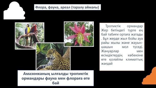 Тірі ағзалардың сан алуандылығы, 6-сынып жаратылыстану