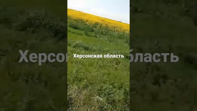 новости херсонской области