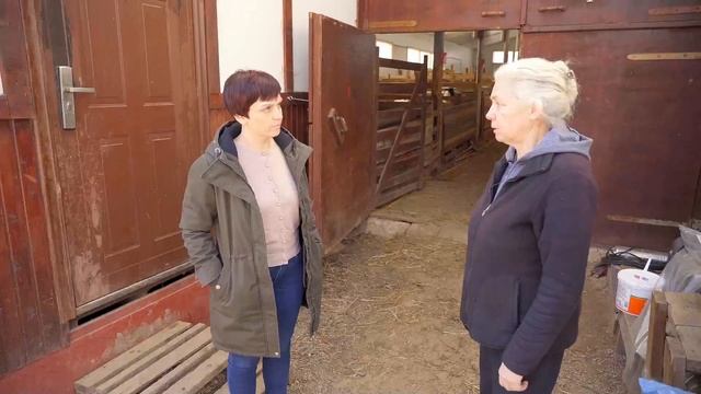 Разведение овец и коз | Фермерское хозяйство Капри смотреть онлайн