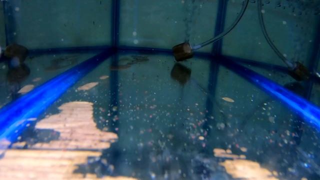 запуск аквариумов с фальшдном смотреть онлайн