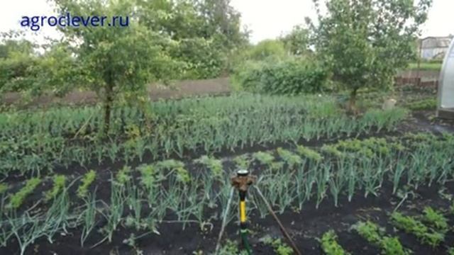 Спринклер выдвижной веерного типа регулируемый угол 23 360 смотреть онлайн