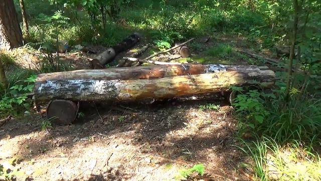 Заброшенный лагерь хиппи. смотреть онлайн