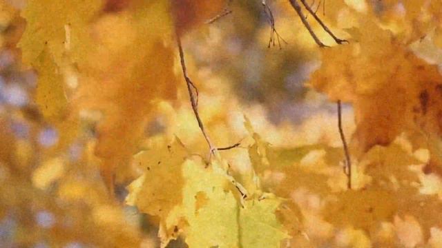 1 Hour Of Chillout Music To Relax Mind And Body Completly | Meditation Frequency смотреть онлайн