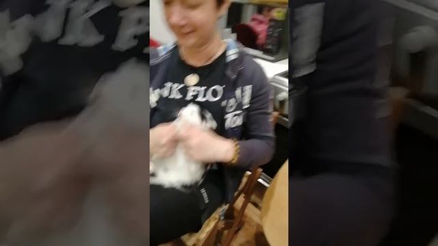 Казимирка и Лионелла смотреть онлайн