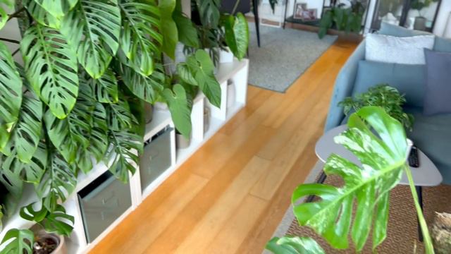 APARTMENT TOUR - Full House Plant collection - Urban Jungle Vibes смотреть онлайн