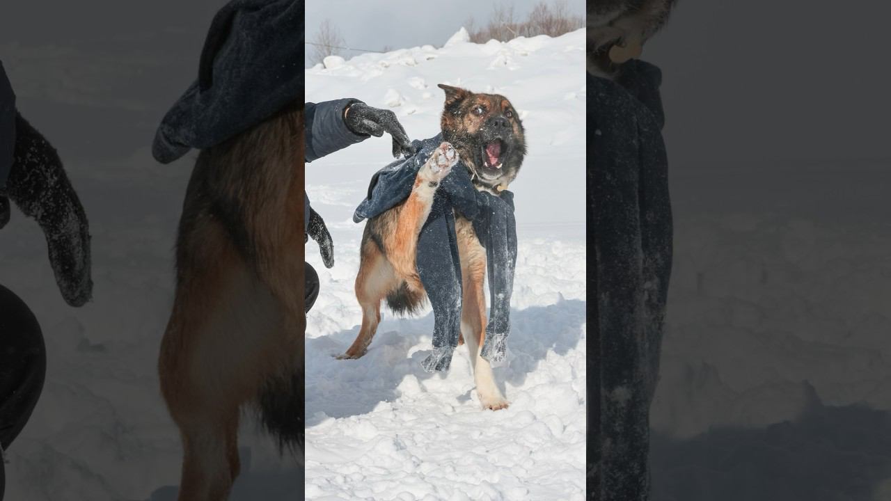 Упс… Что-то пошло не так… А всего лишь планировалось праздничное фото для мужчин… смотреть онлайн