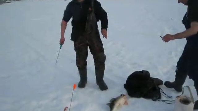 MVI 1361 Судак на жерлицы, ирикла водохр. смотреть онлайн