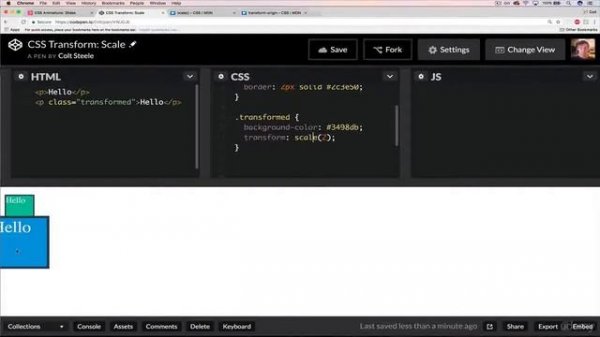Transform Scale and Transform Origin in CSS Tutorial | CSS Animations 2021