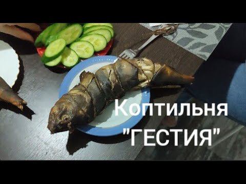 Коптильня "Гестия" - делаем рыбку. смотреть онлайн